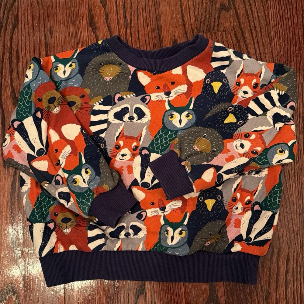 Mini Boden Animal Sweatshirt CUTE!  🐻